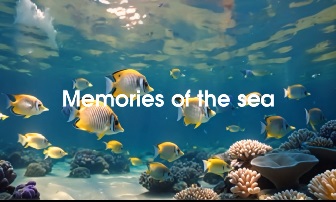 Memories_of_the_sea