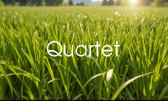 Quartet