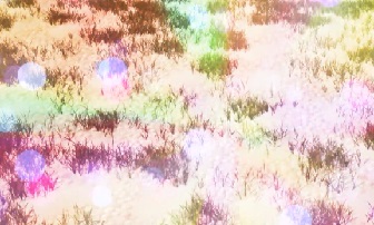 束の間の幻影14